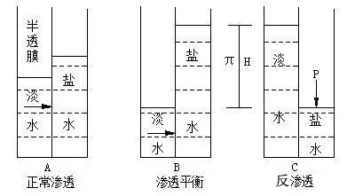 鍋爐廢水零排放